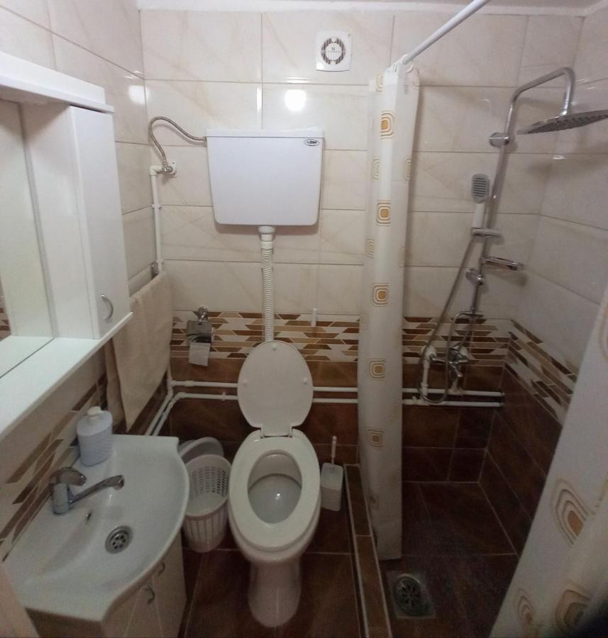 Smestaj Stanisavljevic Soko Banja Bagian luar foto
