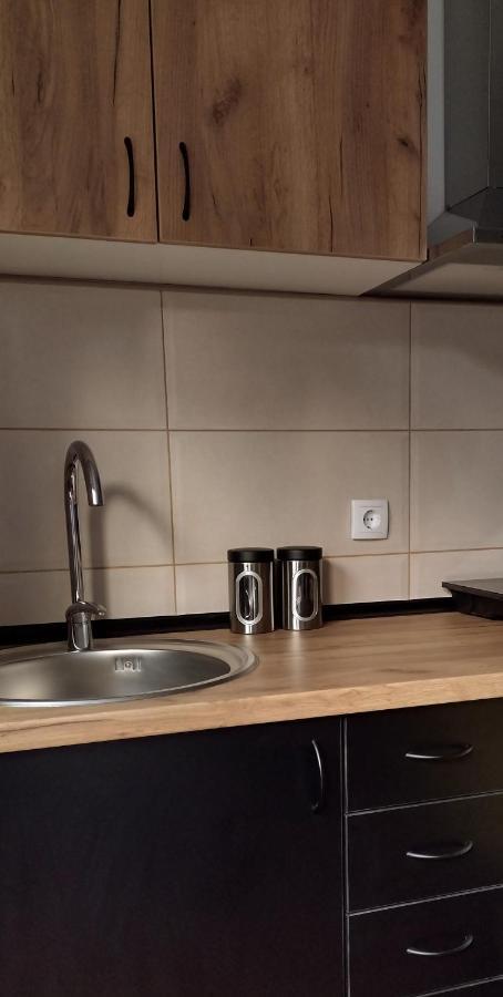 Smestaj Stanisavljevic Soko Banja Bagian luar foto